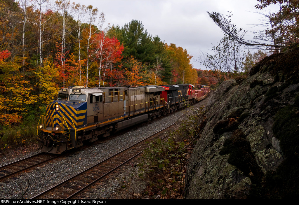 CN 3926